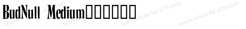 BudNull Medium字体转换